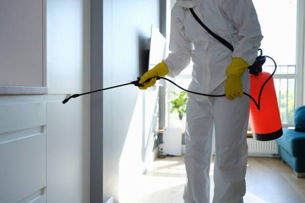 Best Mold Testing  in Wildwood, MO